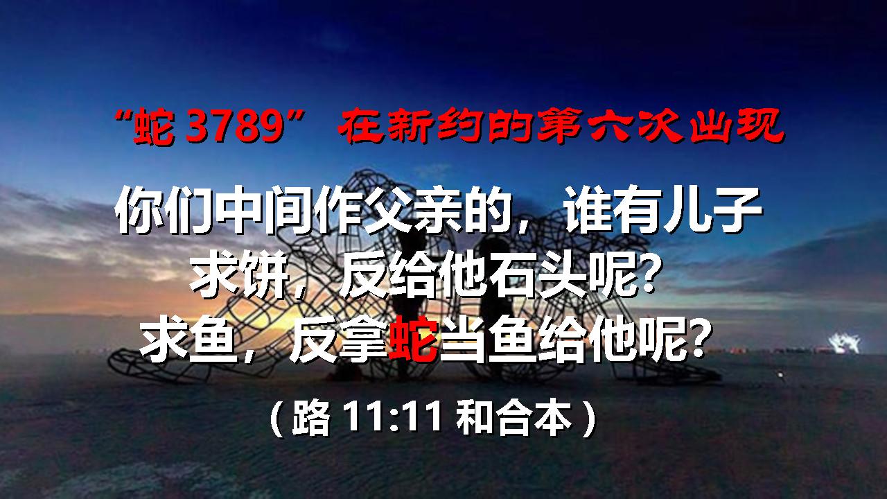 人里面的两个人6-5
