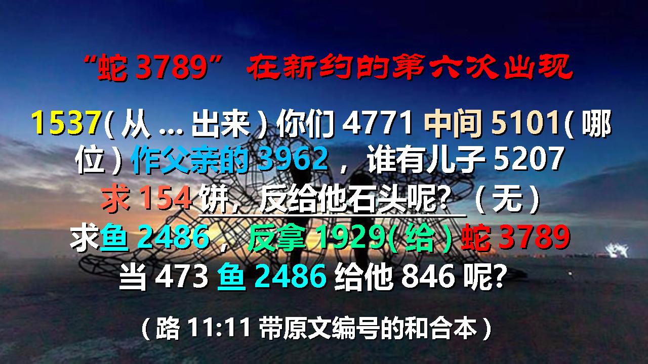 人里面的两个人6-6