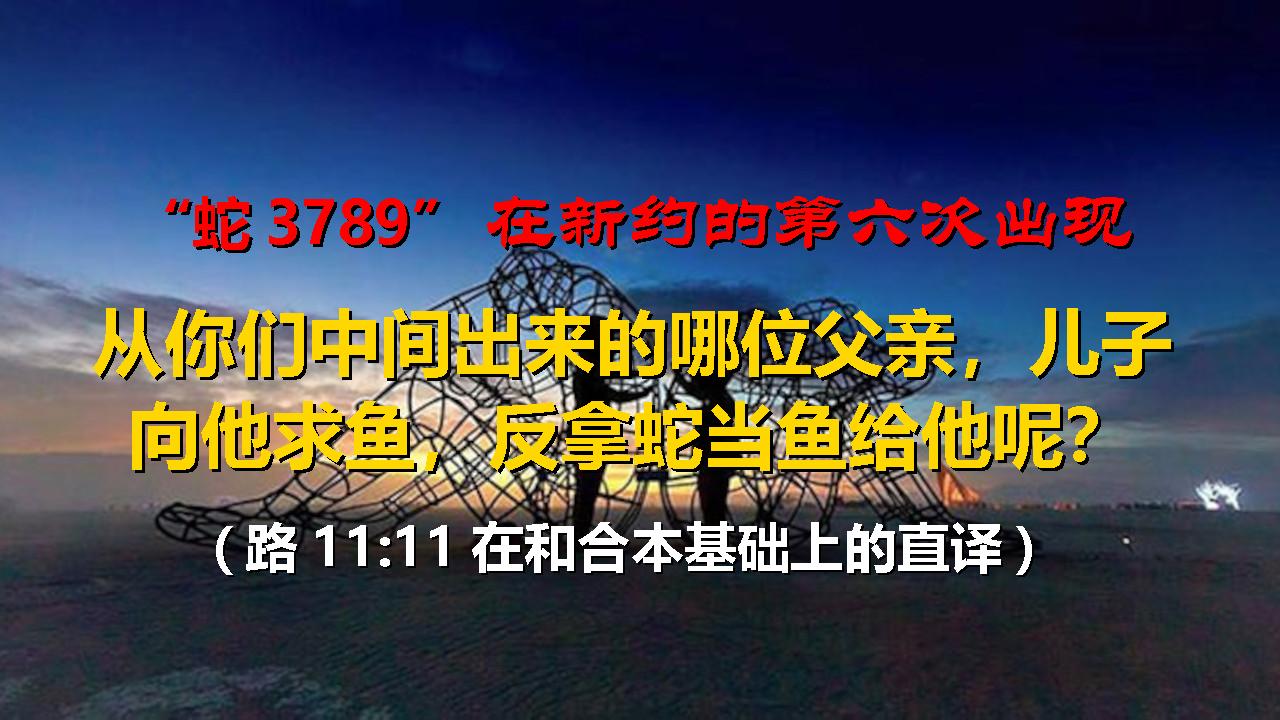 人里面的两个人6-7