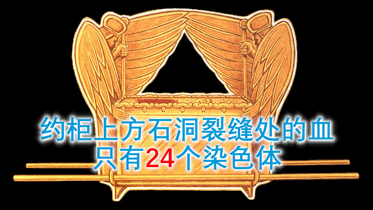 周末饼杯聚会信息（111-1）：借42代人中的第42代人“耶稣（耶和华拯救）”看42站营的第42站营“迦南（低地）”2025年5月3日