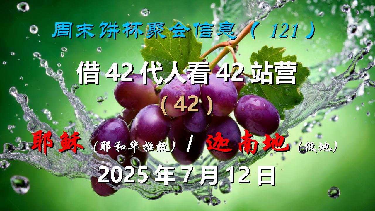 周末饼杯聚会信息（121）：借第42代人“耶稣（耶和华拯救）”看第42站营“迦南（低地）”2025年7月12日