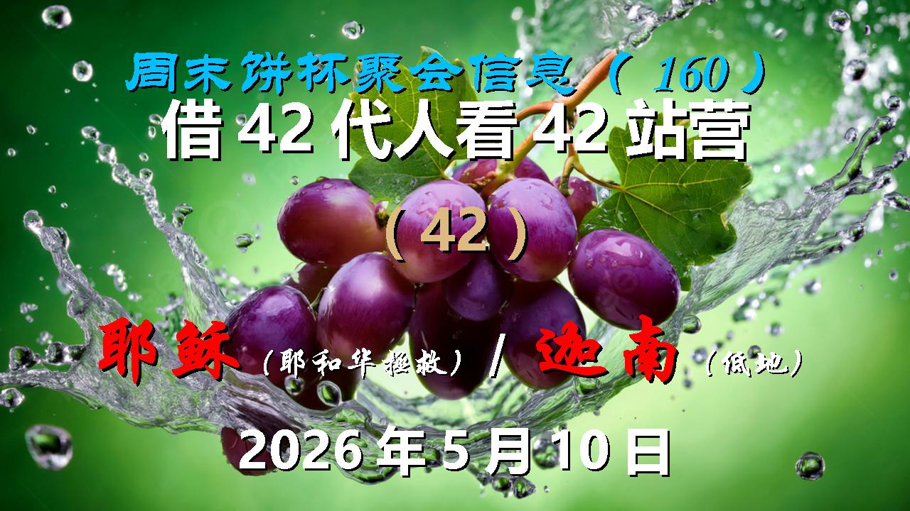 饼杯160