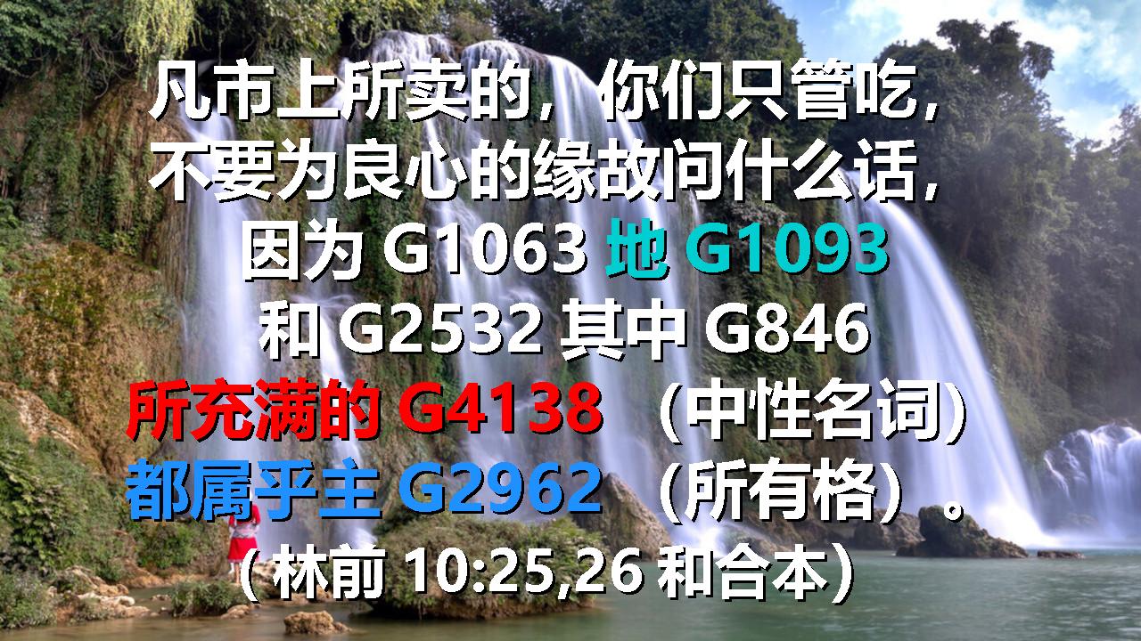 基督的丰盛（9）：从林前 10:26 的原文视角看何为「地的丰满」