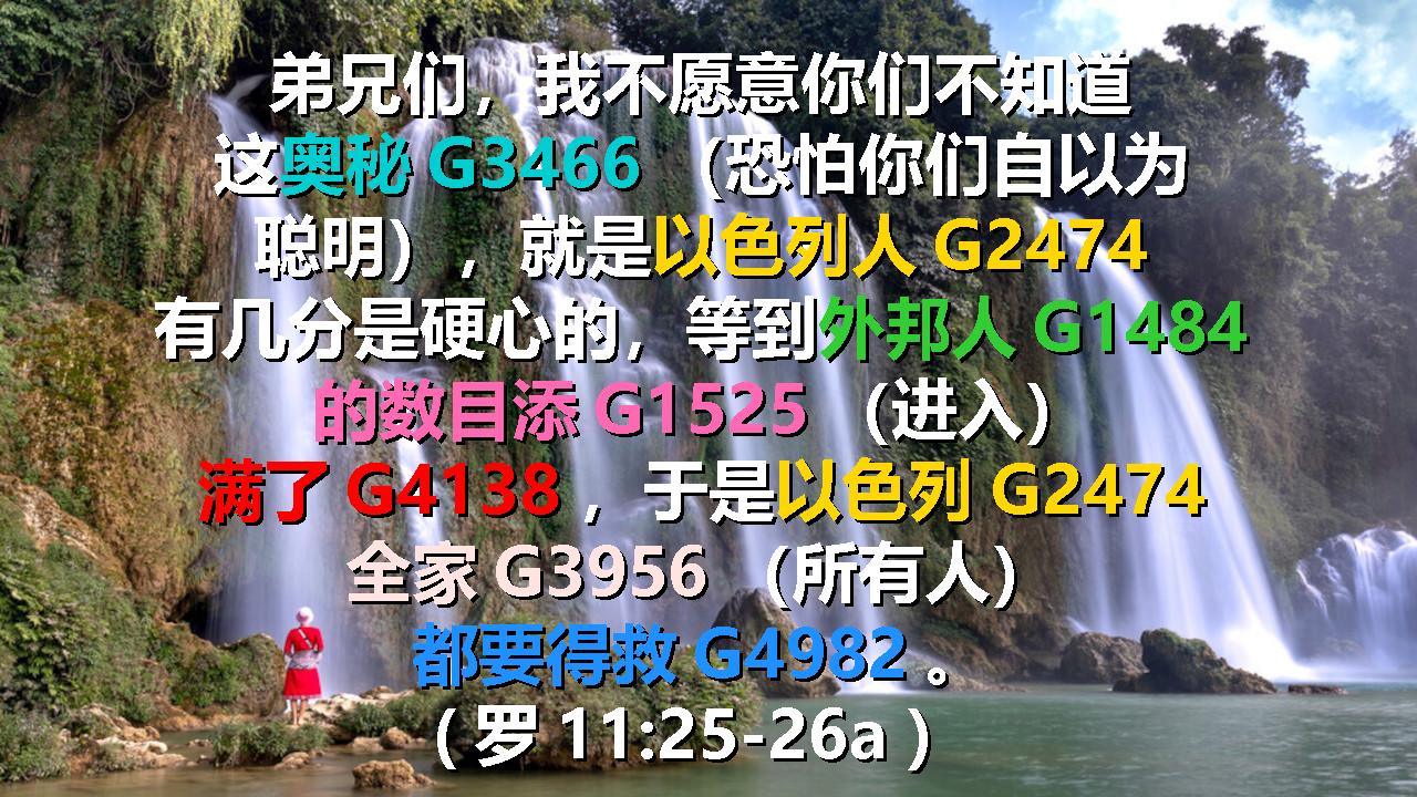 罗11_25