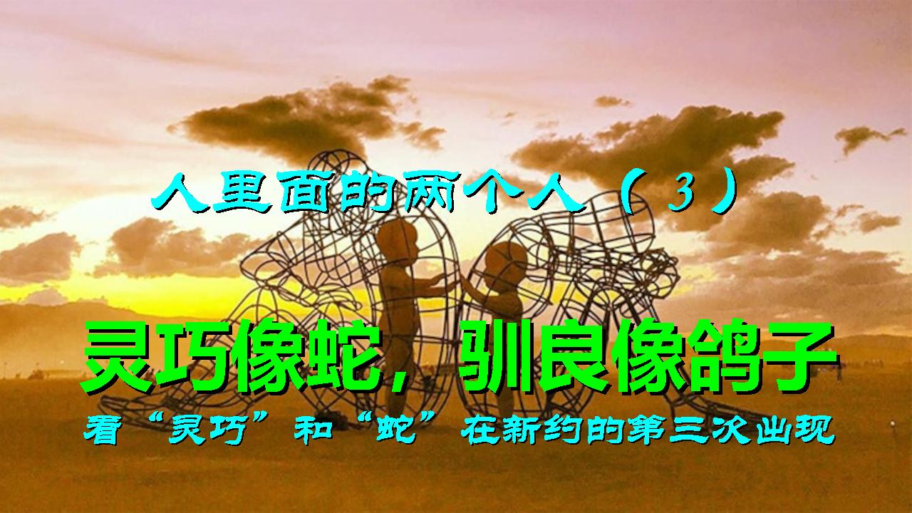 人里面的两个人3