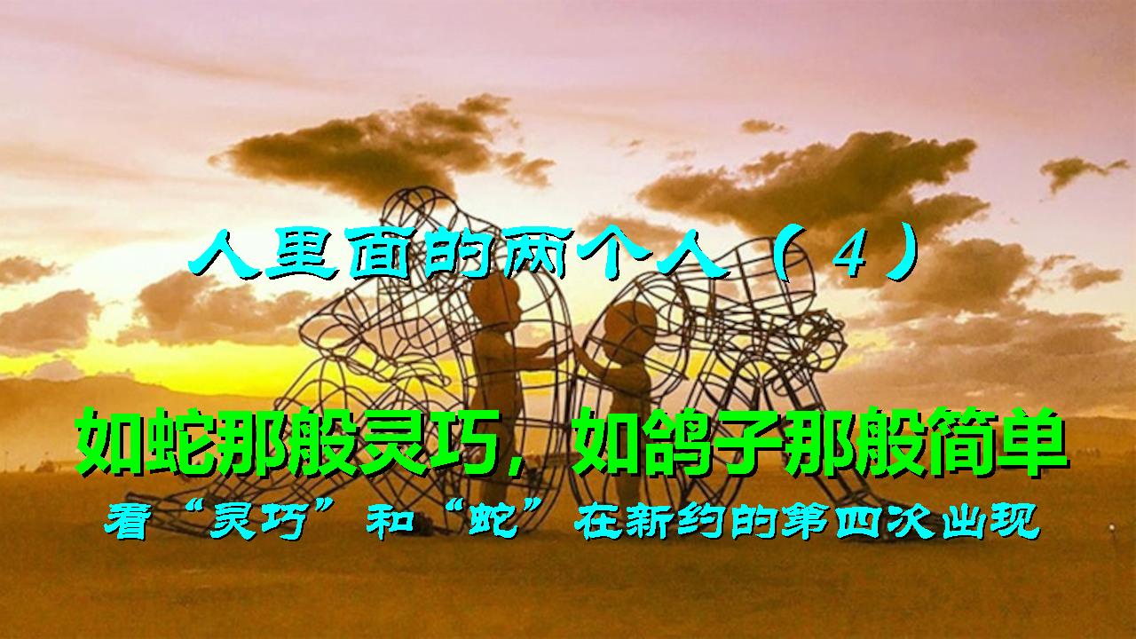 人里面的两个人4