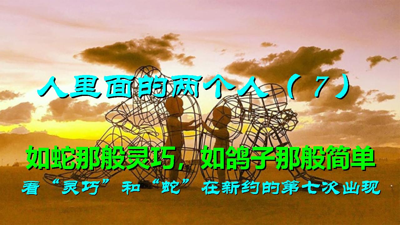 人里面的两个人（7）：看「灵巧 G5429」和「蛇 G3789」在新约中的第七次出现，天人合一、进入基督、落地实施