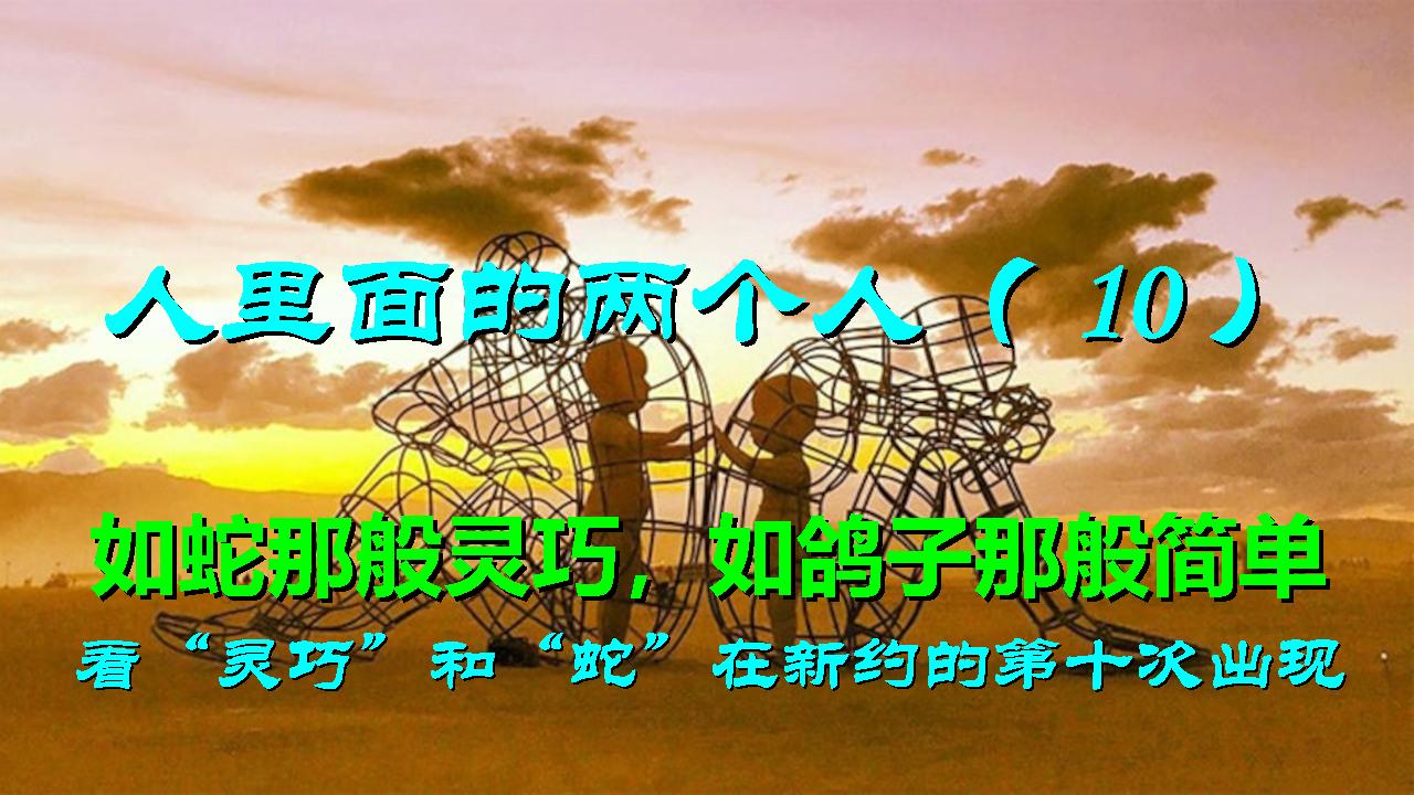 人里面的两个人（10）：看「灵巧 G5429」和「蛇 G3789」在新约中第十次的出现，基督进入、天人合一、落地实施